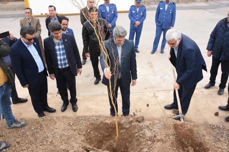 مراسم درختکاری به مناسبت گرامیداشت شهدای گرانقدر در شرکت گاز استان مرکزی