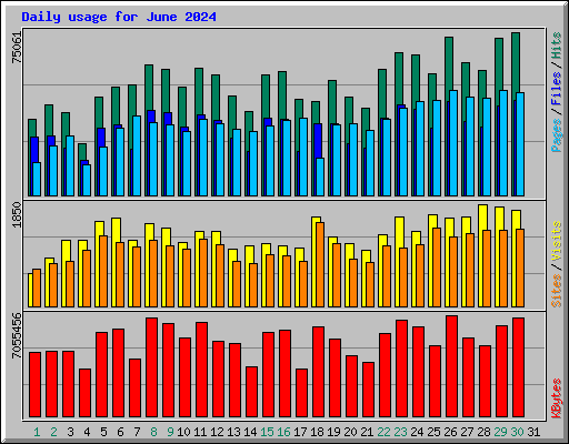 Daily usage for June 2024