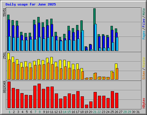 Daily usage for June 2025