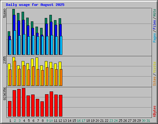Daily usage for August 2025