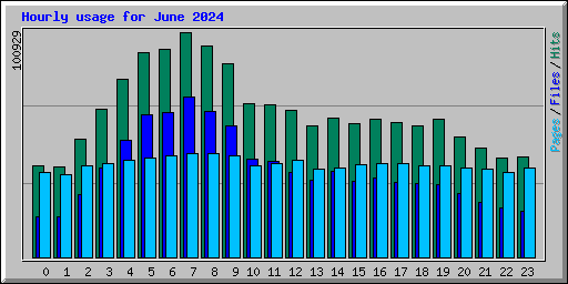 Hourly usage for June 2024