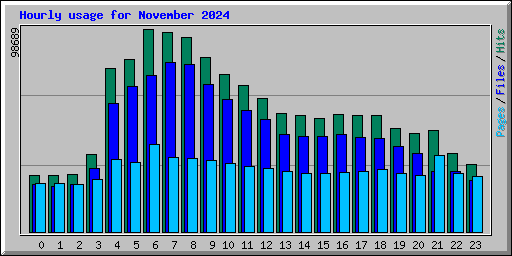 Hourly usage for November 2024