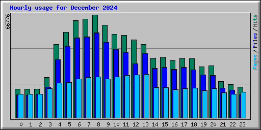 Hourly usage for December 2024