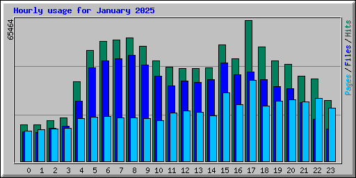 Hourly usage for January 2025