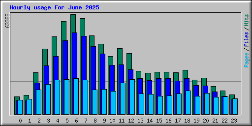 Hourly usage for June 2025
