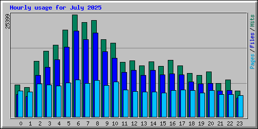 Hourly usage for July 2025